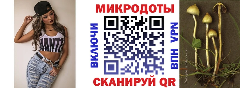 закладки  даркнет какой сайт  Галлюциногенные грибы Psilocybine cubensis  Павловск 